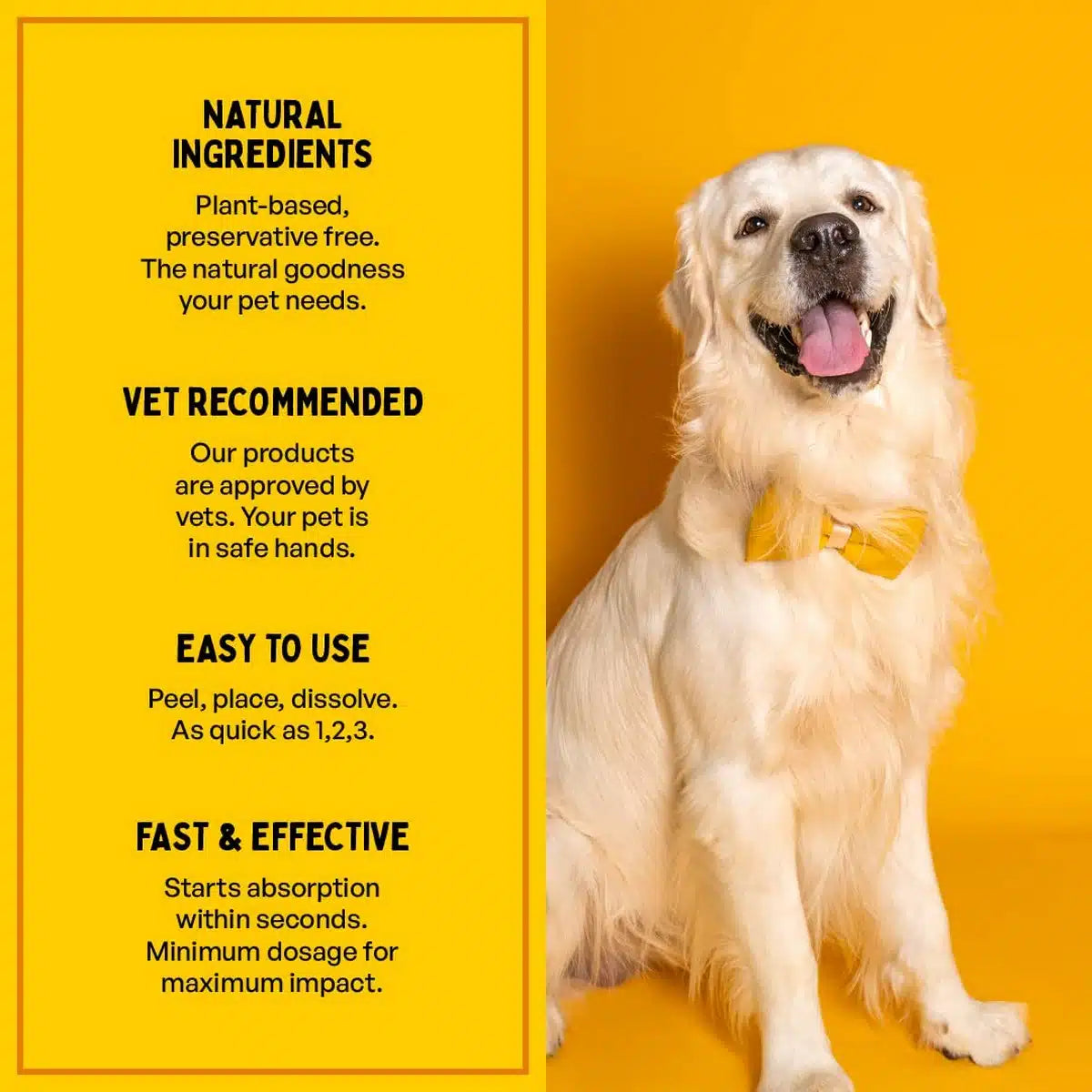 Furlicks Skin & Coat Oral Supplement for Dogs & Cats ( pack of 20 )